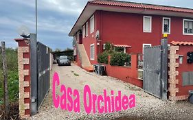 Casa Orchidea