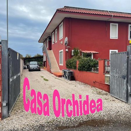 Casa Orchidea Apartment Fiumicino Exterior foto