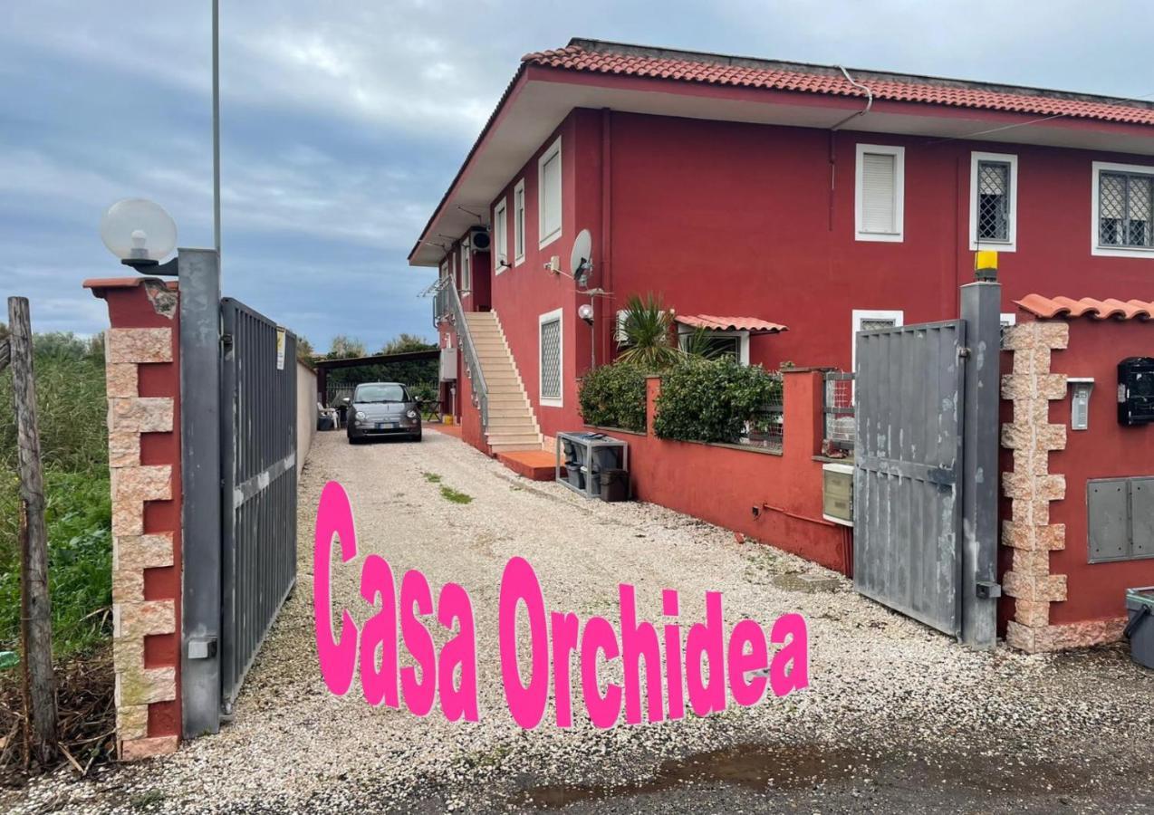 Casa Orchidea Apartment Fiumicino Exterior foto